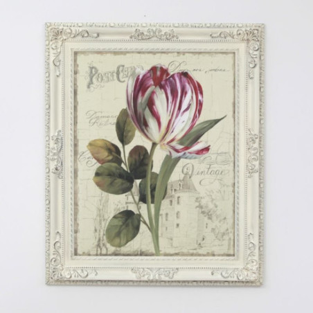 Cuadro Flor Tulipán marco Isabelino Marfil 90x75
