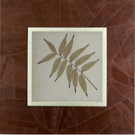 SET DOS CUADROS - HOJA - PASWORD 2