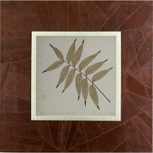 SET DOS CUADROS - HOJA - PASWORD