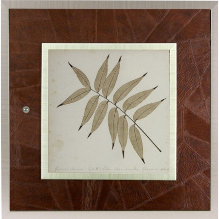 Tapa para el contador en piel marrón