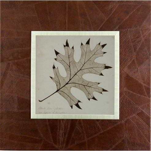 SET DOS CUADROS - HOJA - PASWORD