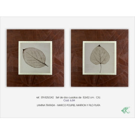 SET DOS CUADROS - HOJA - PASWORD