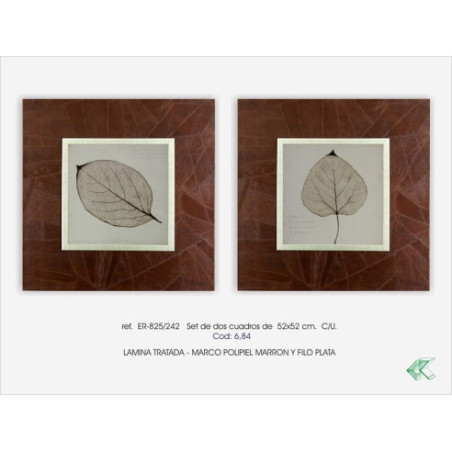 SET DOS CUADROS - HOJA - PASWORD