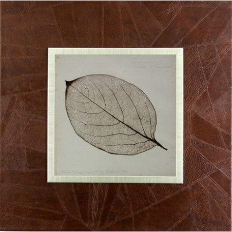 SET DOS CUADROS - HOJA - PASWORD