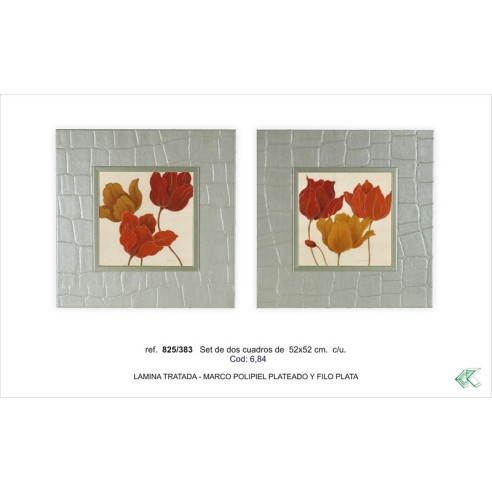 SET DOS CUADROS - FLOR - TORTUGA