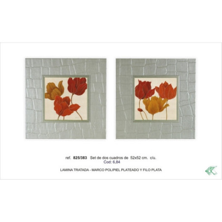 SET DOS CUADROS - FLOR - TORTUGA