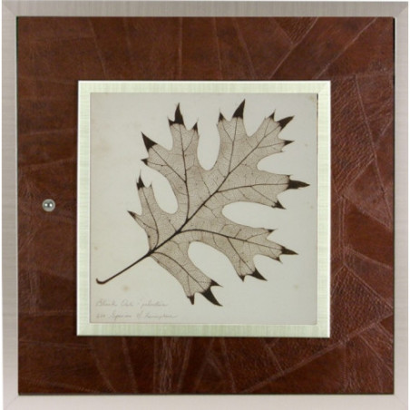 Tapa para el contador en piel marrón