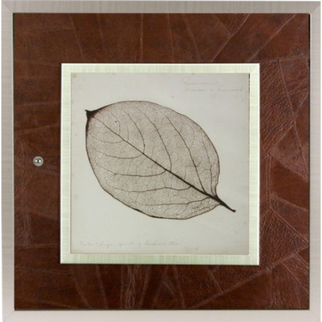 Tapa para el contador en piel marrón