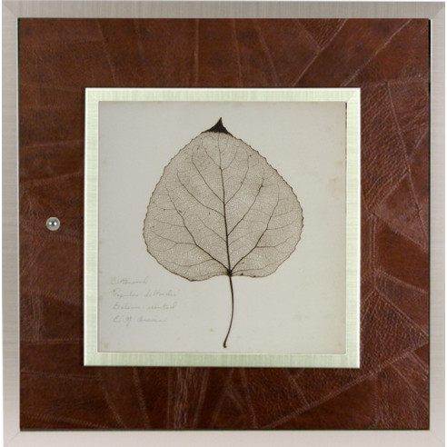 Tapa para el contador en piel marrón