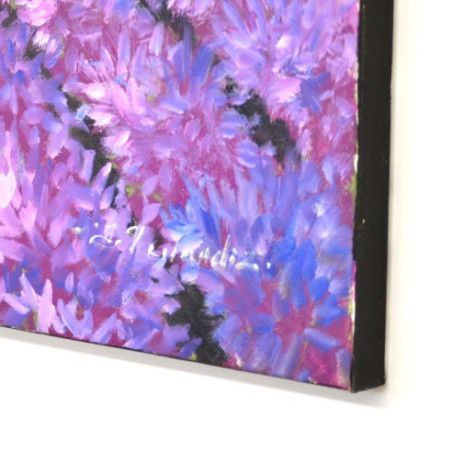 Campos de Lavanda en flor